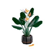 Bird of Paradise (set 10289-1)