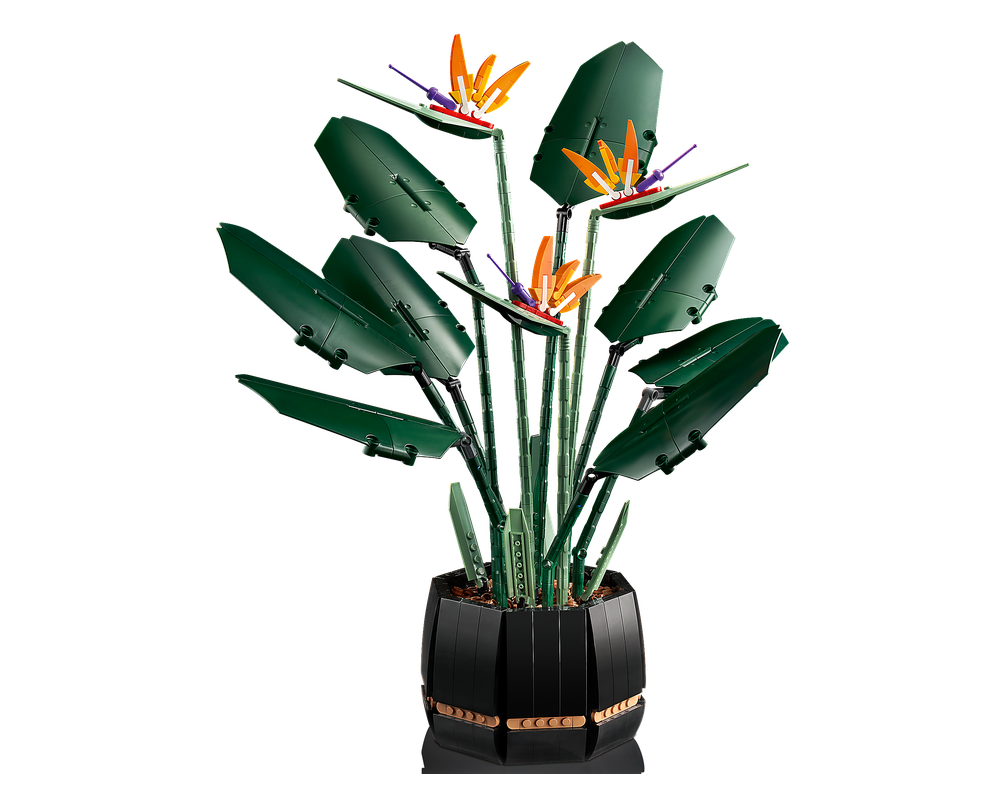 LEGO Set 10289-1 Bird of Paradise (2021 Botanicals) | Rebrickable - Build  with LEGO