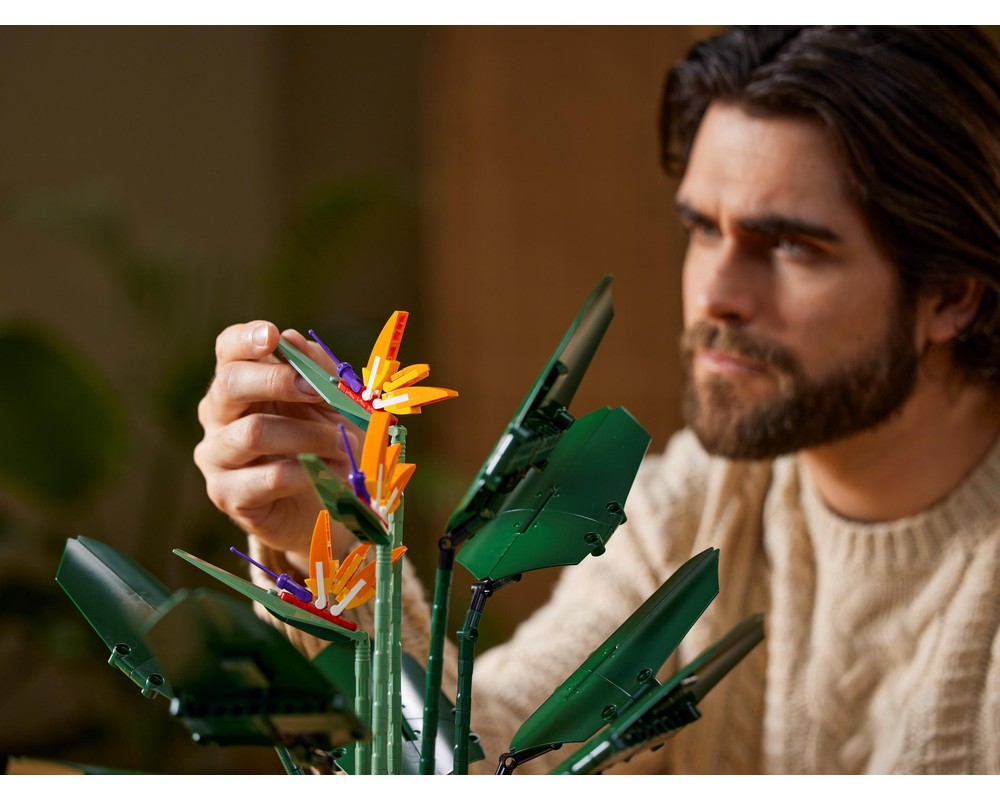 LEGO Set 10289-1 Bird of Paradise (2021 Icons) | Rebrickable - Build ...