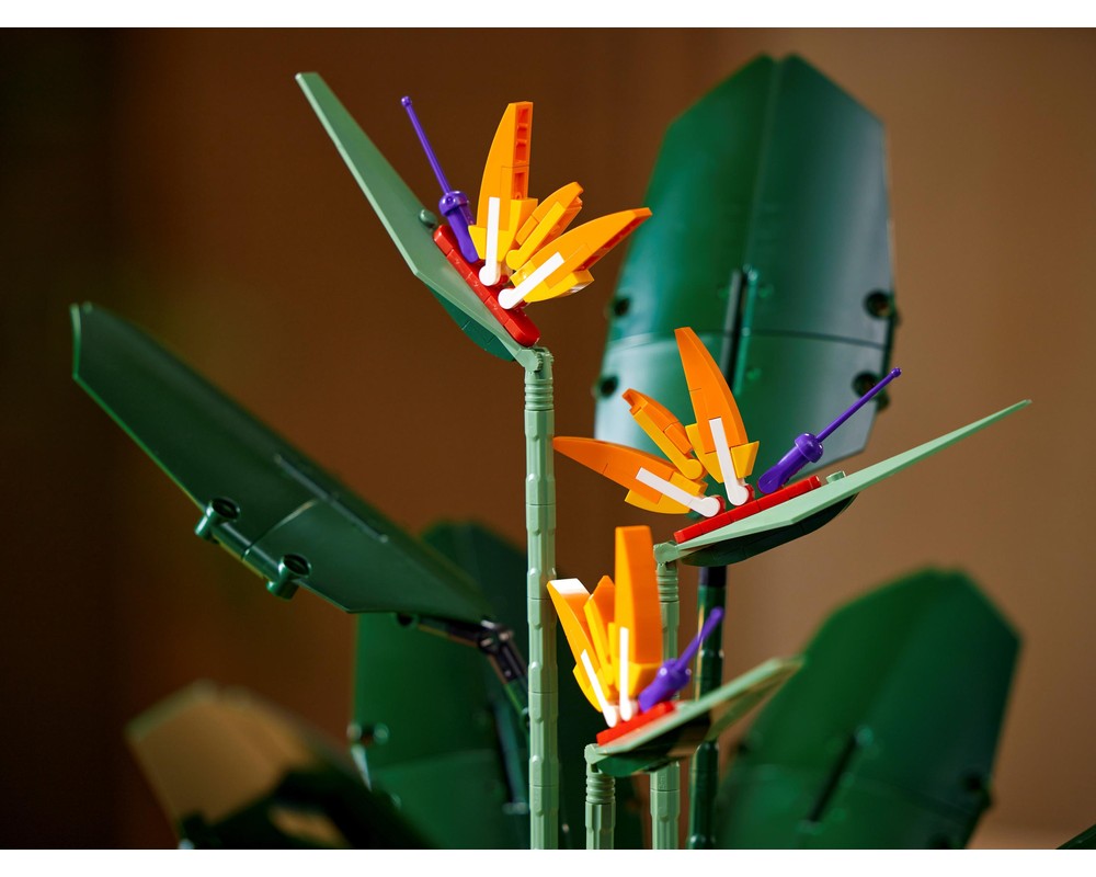 LEGO Set 10289-1 Bird of Paradise (2021 Botanicals) | Rebrickable ...