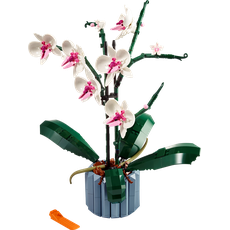 Orchid (set 10311-1)