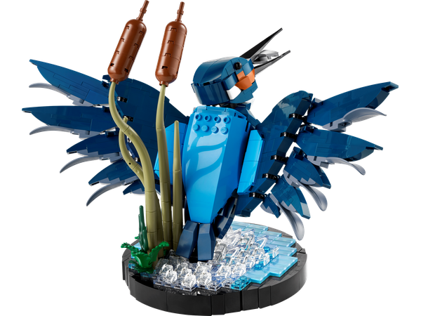 Le martin-pêcheur 10331