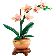 Mini Orchid (set 10343-1)