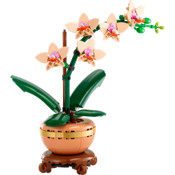 Mała orchidea