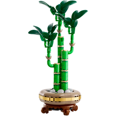 Lucky Bamboo (set 10344-1)