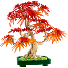 Japanese Red Maple Bonsai Tree (set 10348-1)