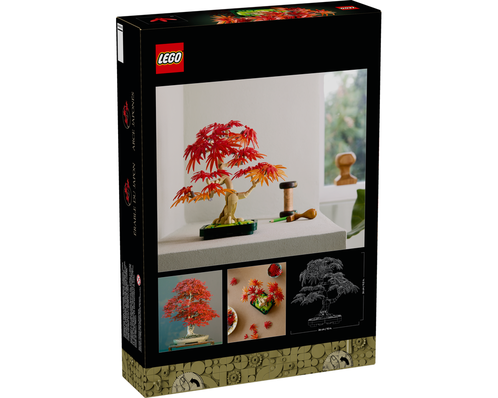 その他 red tree UrbanSunsetFallLandscape_360x.