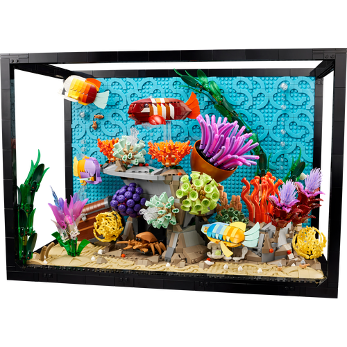 Tropical Aquarium