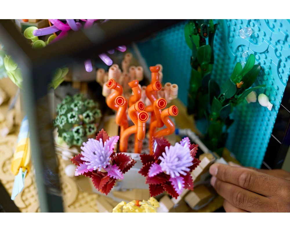 LEGO Set 10366-1 Tropical Aquarium (2025 Icons) | Rebrickable - Build ...