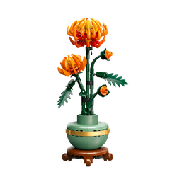 Chryzantema
