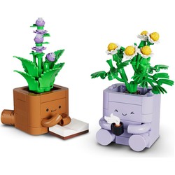 Cozy Plants, zdjęcie 1