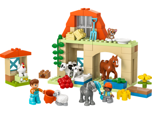 Caring for Animals at the Farm