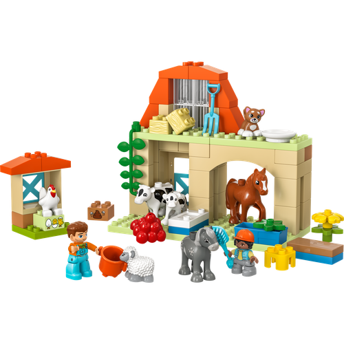 Caring for Animals at the Farm