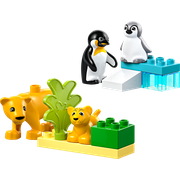 Wild Animal Families: Penguins & Lions