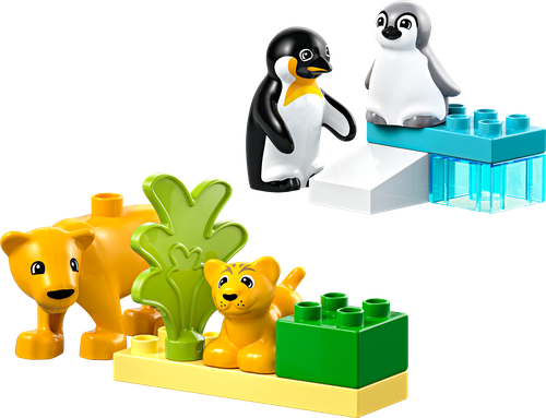Wild Animal Families: Penguins & Lions