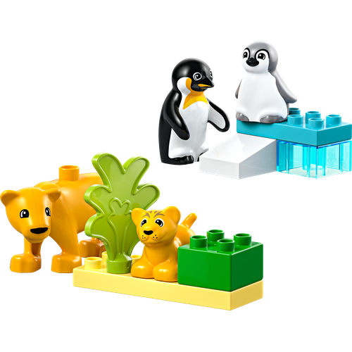 Wild Animal Families: Penguins & Lions