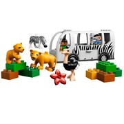 Zoo Bus