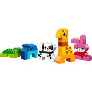 Creative Animals