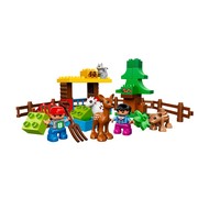 Forest: Animals