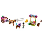 Stephanie's Horse Carriage