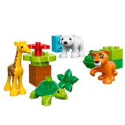Baby Animals