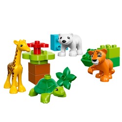 Baby Animals, zdjęcie 1