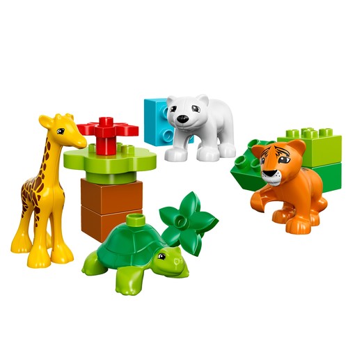 Baby Animals