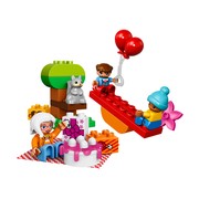Birthday Picnic