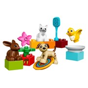 Family Pets