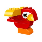 My First Bird
