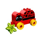 My First Ladybug