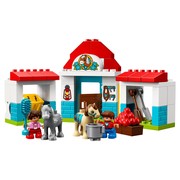 Farm Pony Stable