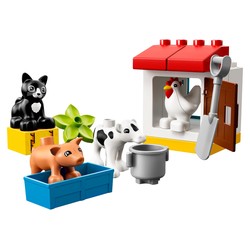Farm Animals, zdjęcie 1