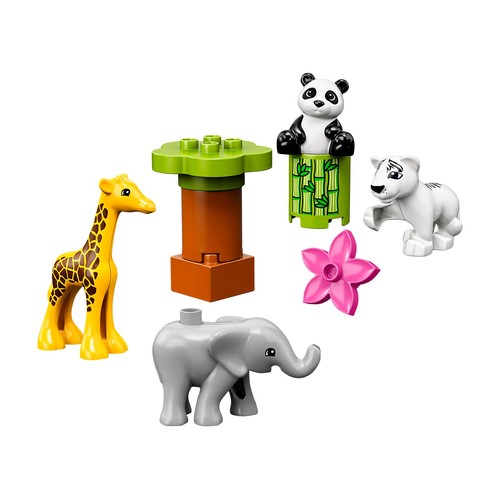 Baby Animals