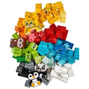 Creative Animals