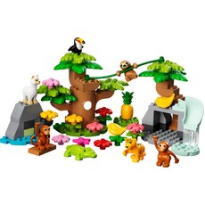 Wild Animals of South America (set 10973-1)