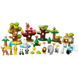 Wild Animals of the World, zdjęcie 1