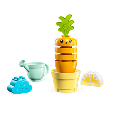 Growing Carrot (set 10981-1)