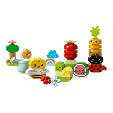 Organic Garden (set 10984-1)