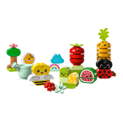 Organic Garden, zdjęcie 1