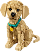 11384
