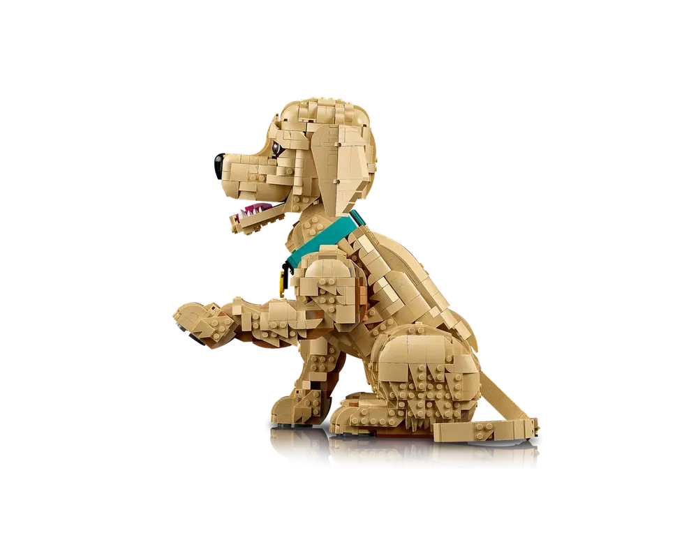 LEGO Set 11384-1 Golden Retriever Puppy (2026 Icons) | Rebrickable ...