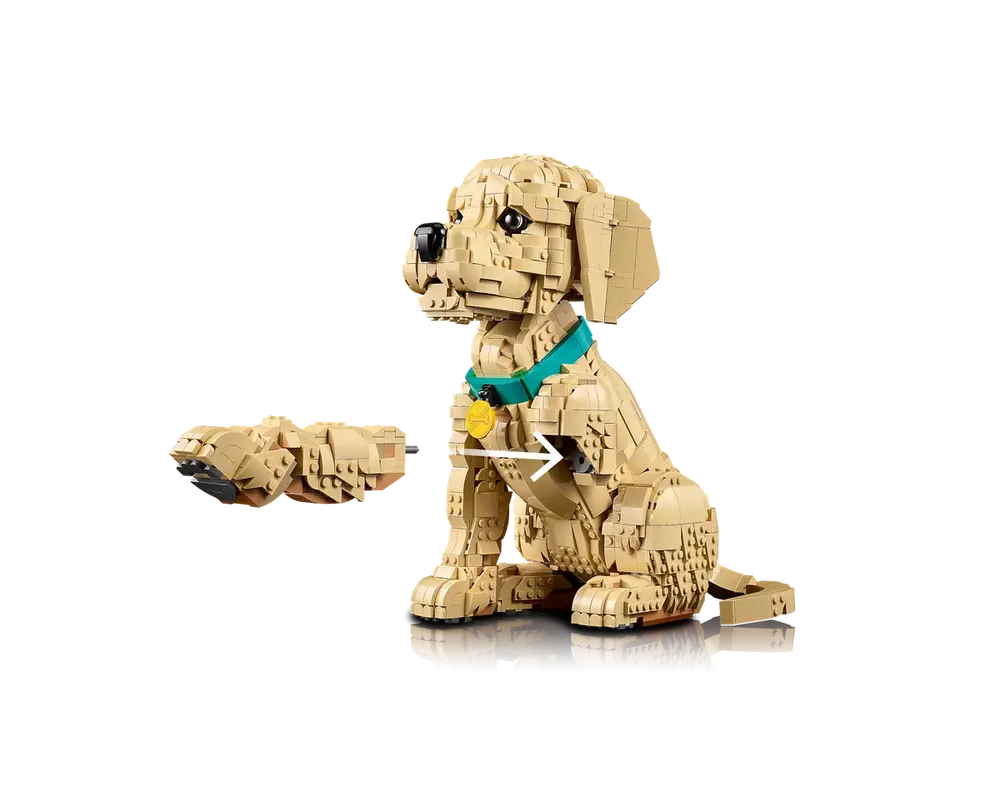 LEGO Set 11384-1 Golden Retriever Puppy (2026 Icons) | Rebrickable ...