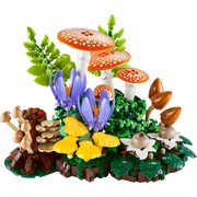Woodland Mushrooms