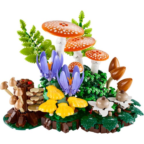 Woodland Mushrooms