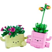 Rocking Plants