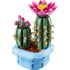Flowering Cactus (set 11509-1)