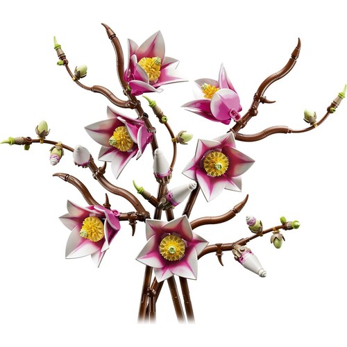 Magnolia Branches