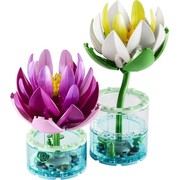 Water Lilies