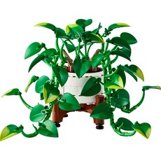 Hanging Golden Pothos (set 11512-1)